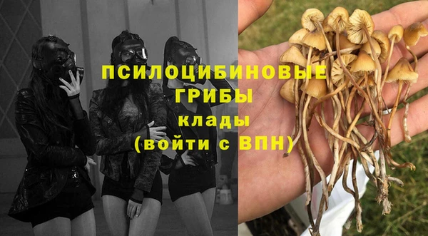 марки lsd Горно-Алтайск
