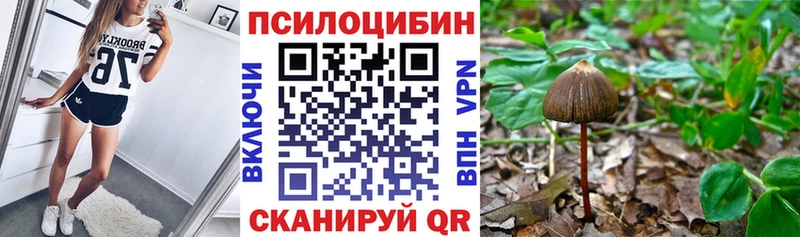 Купить  Изобильный  Псилоцибиновые грибы мицелий 